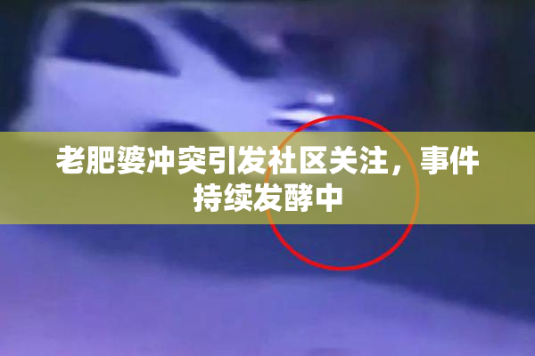 老肥婆冲突引发社区关注，事件持续发酵中