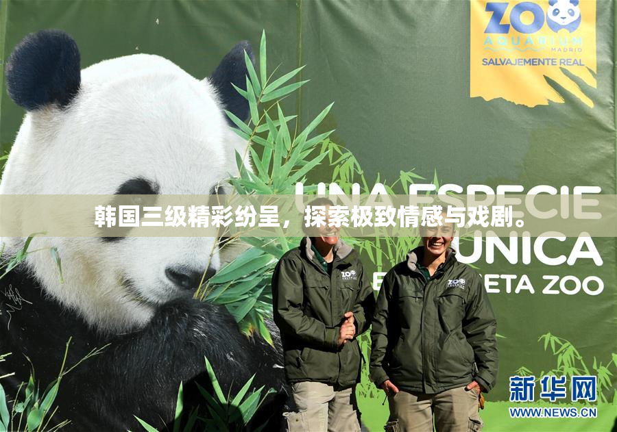 韩国三级精彩纷呈，探索极致情感与戏剧。