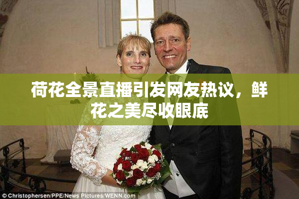 荷花全景直播引发网友热议，鲜花之美尽收眼底