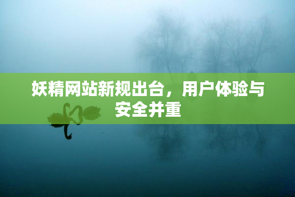 妖精网站新规出台，用户体验与安全并重