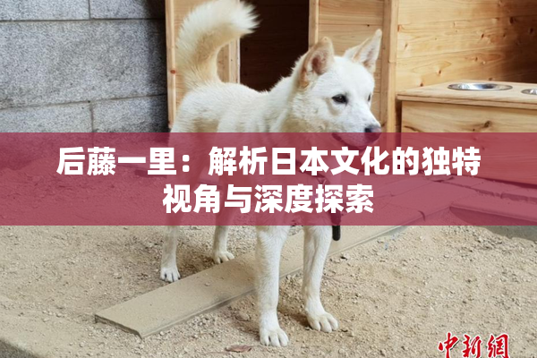 后藤一里：解析日本文化的独特视角与深度探索