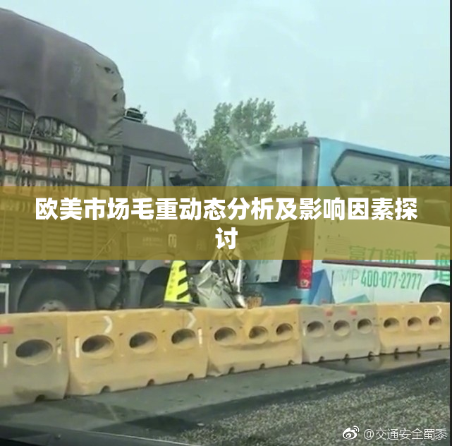 欧美市场毛重动态分析及影响因素探讨