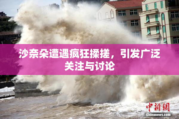 沙奈朵遭遇疯狂揉搓，引发广泛关注与讨论