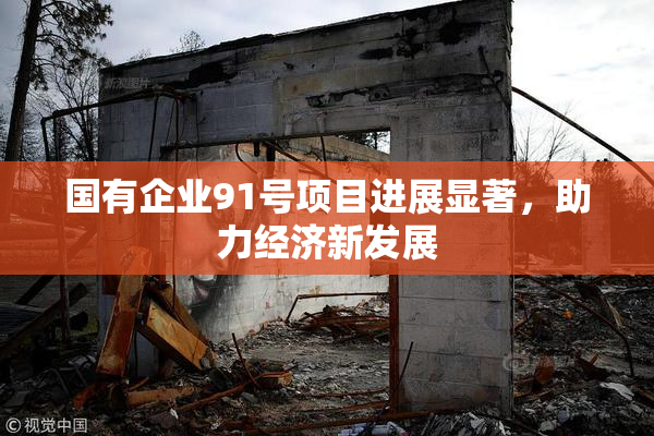 国有企业91号项目进展显著，助力经济新发展