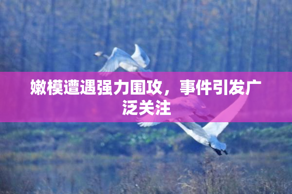 嫩模遭遇强力围攻，事件引发广泛关注