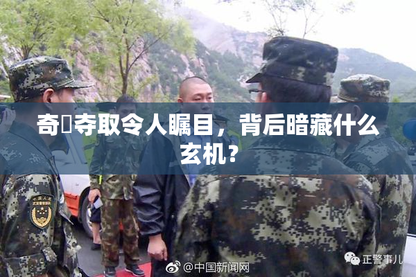 奇犽夺取令人瞩目，背后暗藏什么玄机？