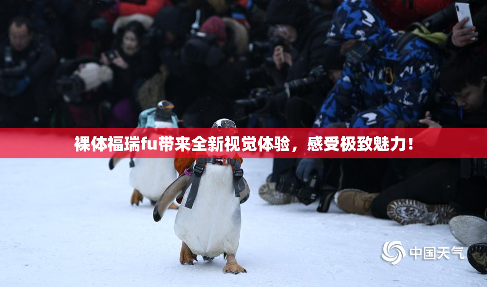 裸体福瑞fu带来全新视觉体验，感受极致魅力！