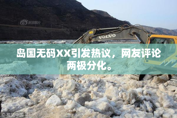 岛国无码XX引发热议，网友评论两极分化。