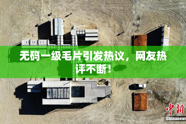 无码一级毛片引发热议，网友热评不断！
