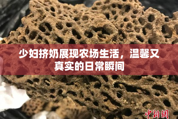 少妇挤奶展现农场生活，温馨又真实的日常瞬间