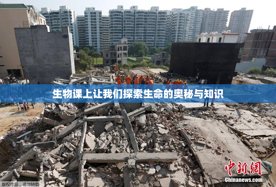 生物课上让我们探索生命的奥秘与知识