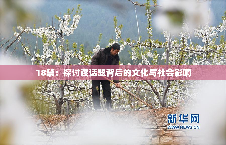 18禁：探讨该话题背后的文化与社会影响