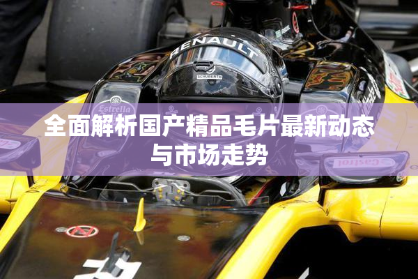 全面解析国产精品毛片最新动态与市场走势