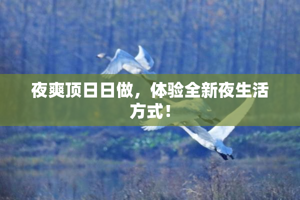 夜爽顶日日做，体验全新夜生活方式！