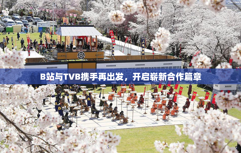 B站与TVB携手再出发，开启崭新合作篇章