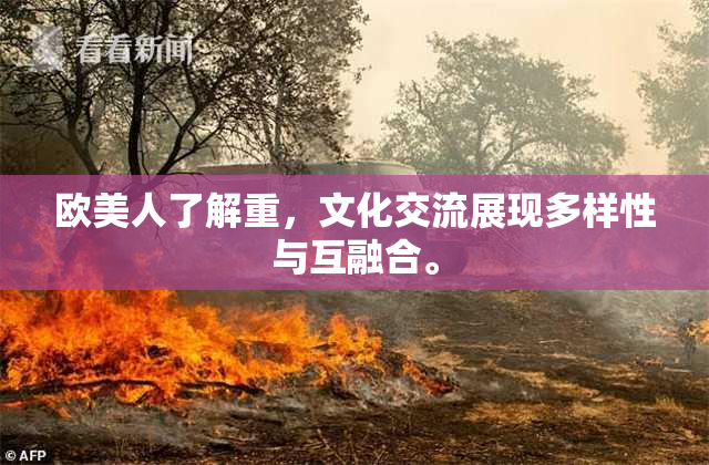 欧美人了解重，文化交流展现多样性与互融合。