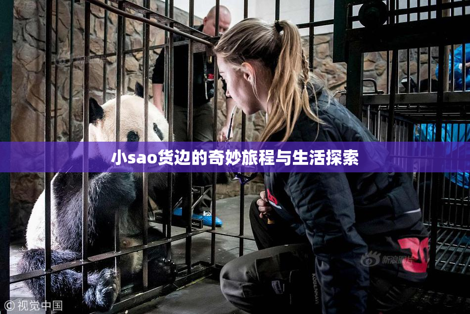 小sao货边的奇妙旅程与生活探索