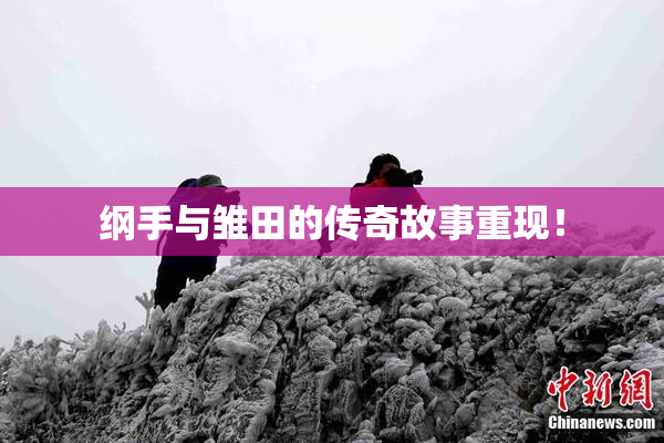 纲手与雏田的传奇故事重现！