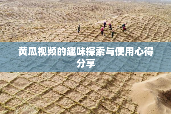 黄瓜视频的趣味探索与使用心得分享