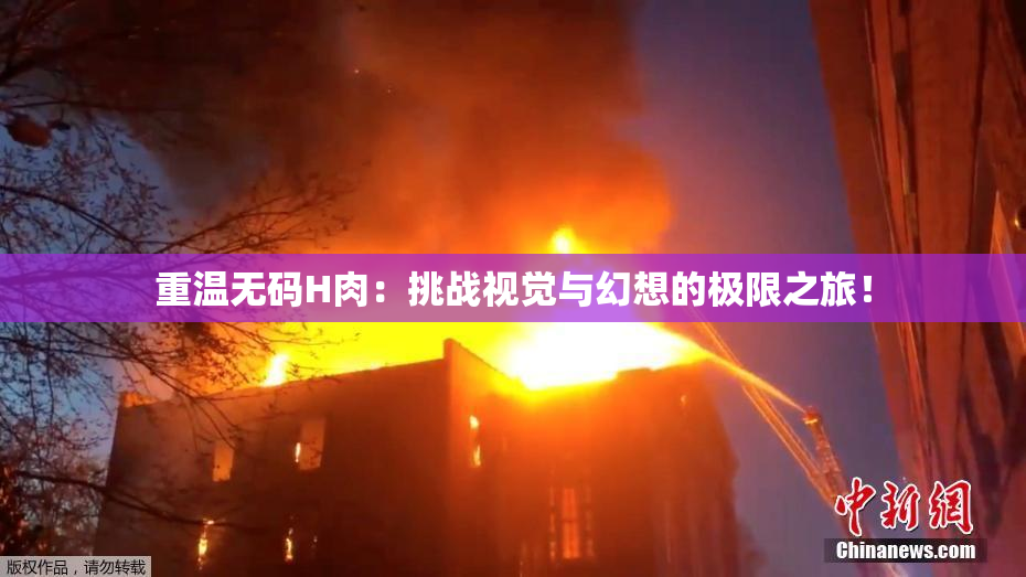 重温无码H肉：挑战视觉与幻想的极限之旅！