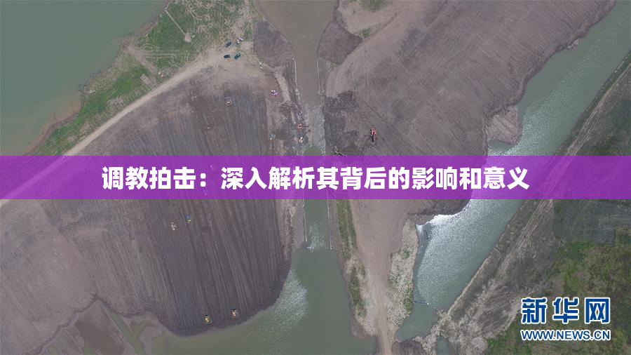 调教拍击：深入解析其背后的影响和意义