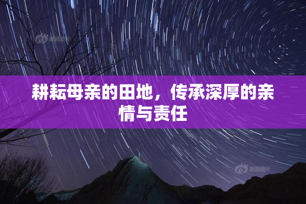 耕耘母亲的田地，传承深厚的亲情与责任