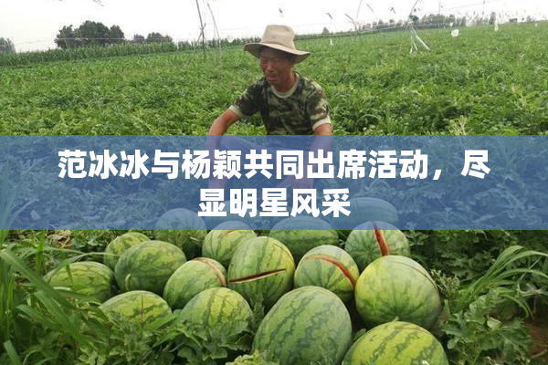 范冰冰与杨颖共同出席活动，尽显明星风采