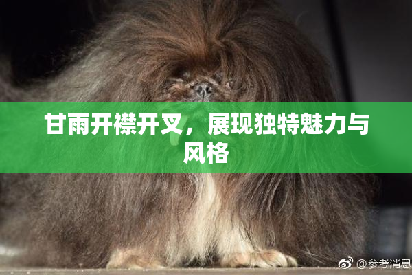 甘雨开襟开叉，展现独特魅力与风格