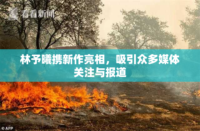 林予曦携新作亮相，吸引众多媒体关注与报道