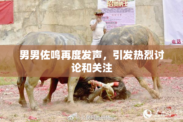 男男佐鸣再度发声，引发热烈讨论和关注