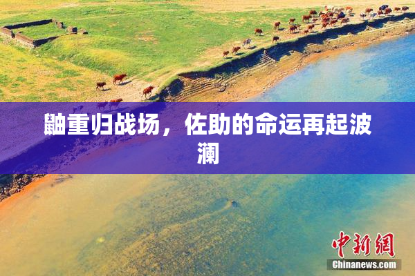 鼬重归战场，佐助的命运再起波澜