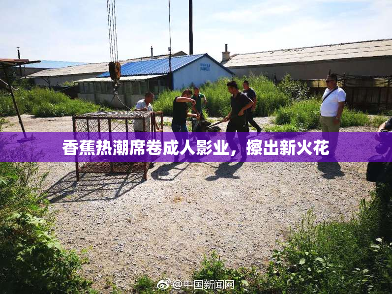 香蕉热潮席卷成人影业，擦出新火花