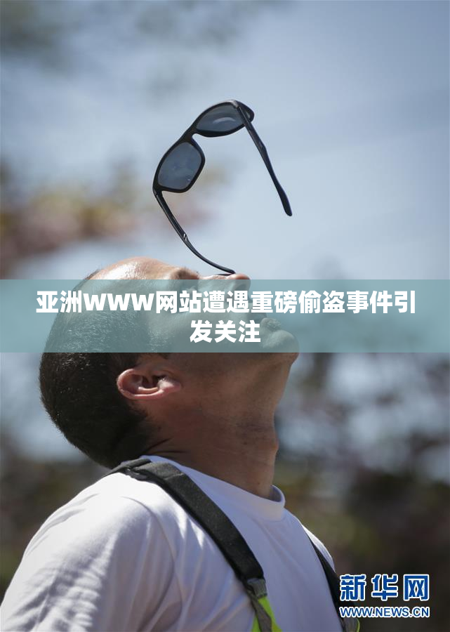 亚洲WWW网站遭遇重磅偷盗事件引发关注