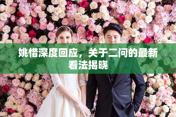 姚惜深度回应，关于二问的最新看法揭晓