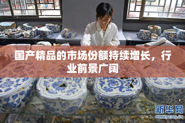 国产精品的市场份额持续增长，行业前景广阔