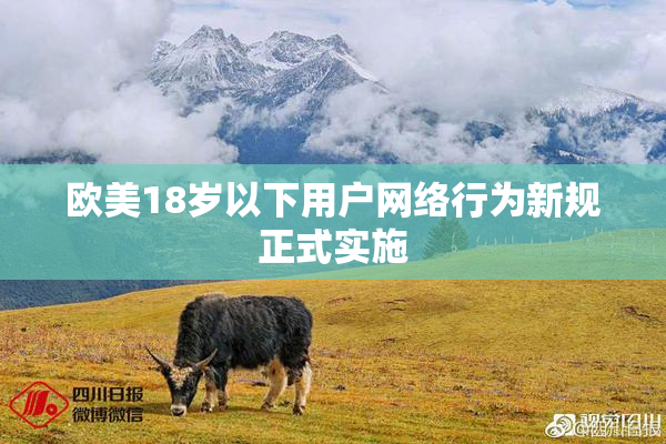 欧美18岁以下用户网络行为新规正式实施