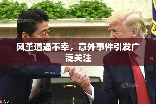 风堇遭遇不幸，意外事件引发广泛关注