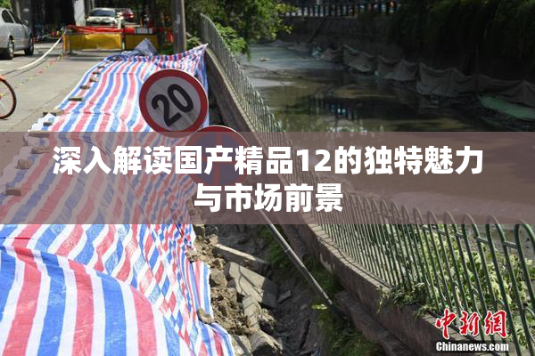 深入解读国产精品12的独特魅力与市场前景