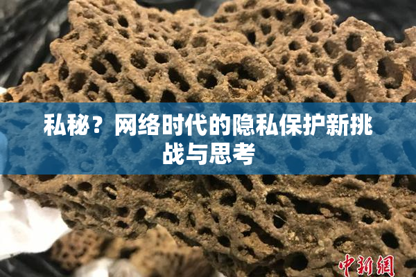 私秘？网络时代的隐私保护新挑战与思考