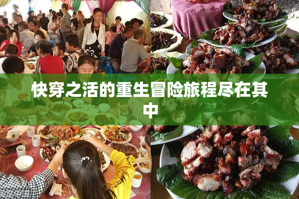 快穿之活的重生冒险旅程尽在其中