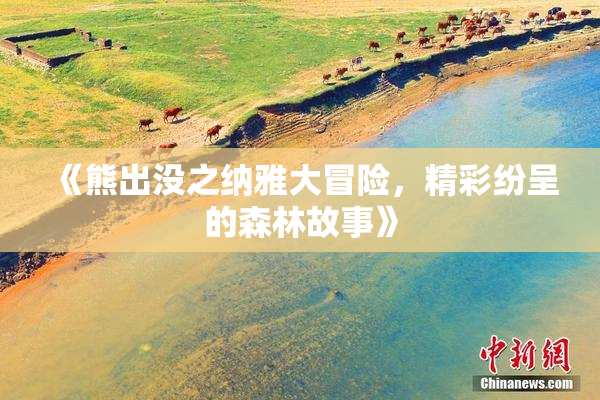 《熊出没之纳雅大冒险，精彩纷呈的森林故事》