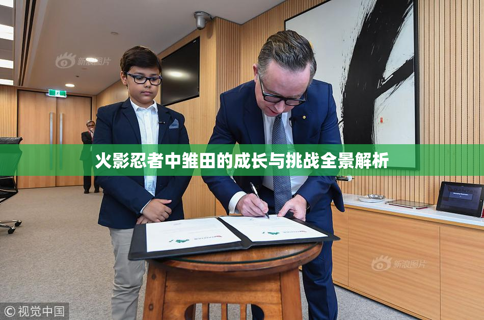 火影忍者中雏田的成长与挑战全景解析