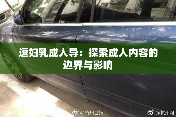 逗妇乳成人导：探索成人内容的边界与影响