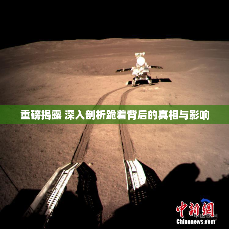 重磅揭露 深入剖析跪着背后的真相与影响