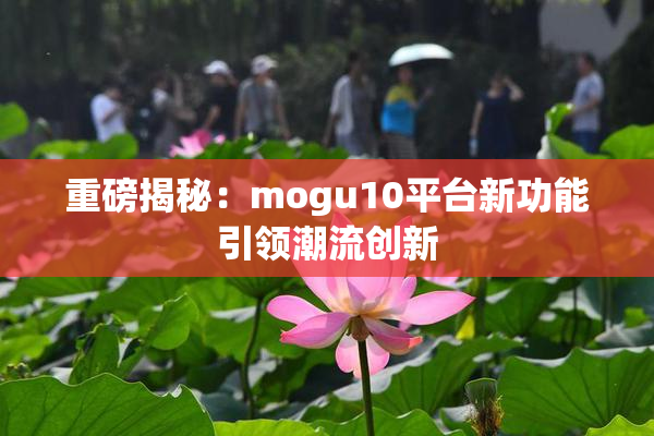 重磅揭秘：mogu10平台新功能引领潮流创新