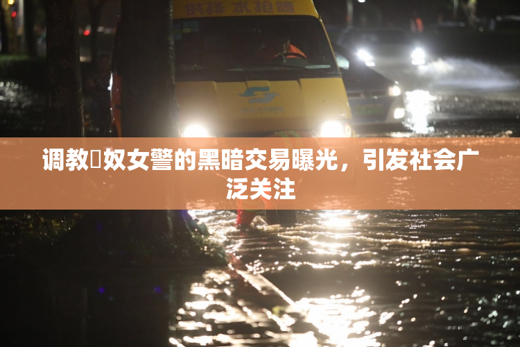 调教婬奴女警的黑暗交易曝光，引发社会广泛关注