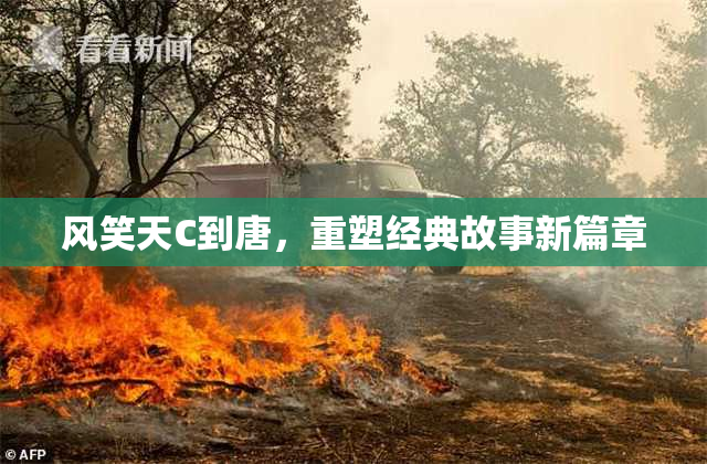 风笑天C到唐，重塑经典故事新篇章