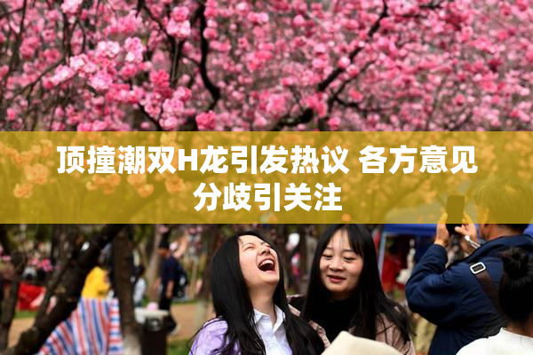 顶撞潮双H龙引发热议 各方意见分歧引关注