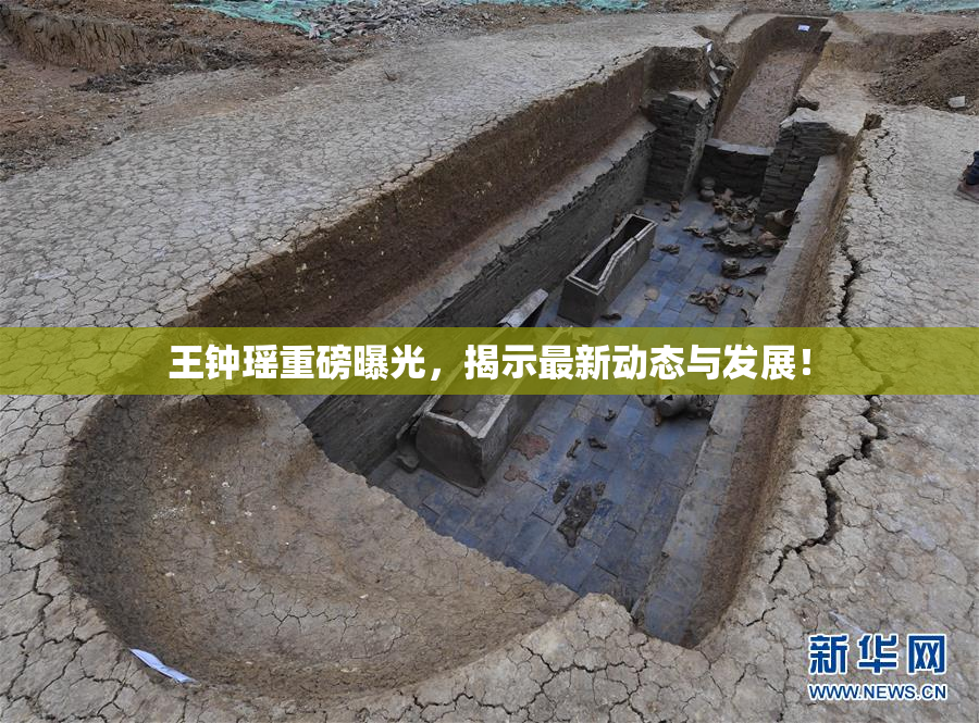 王钟瑶重磅曝光，揭示最新动态与发展！