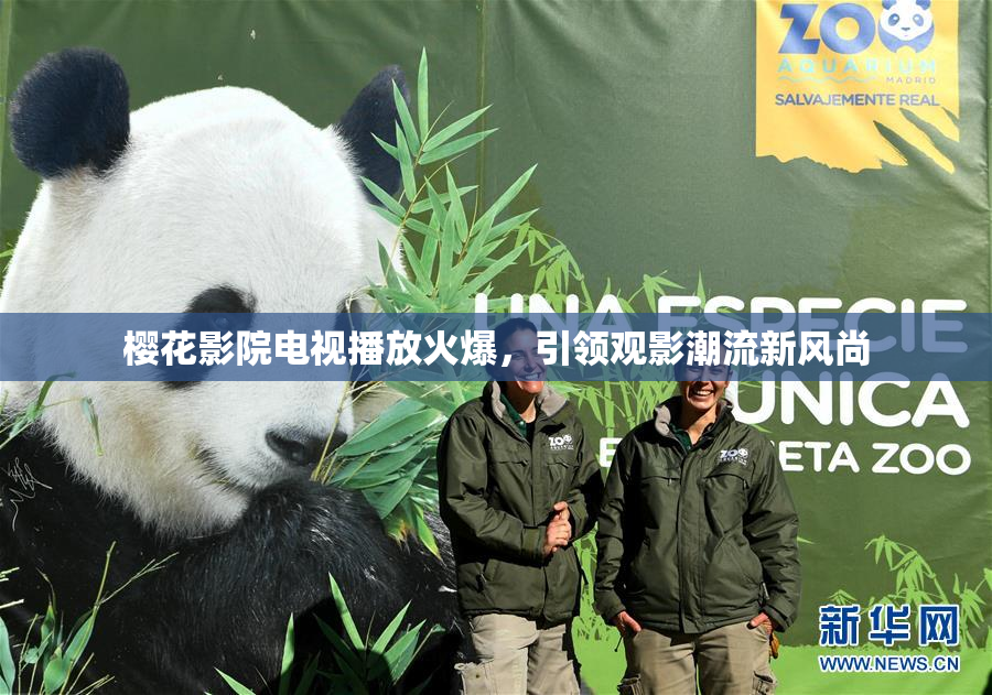 樱花影院电视播放火爆，引领观影潮流新风尚